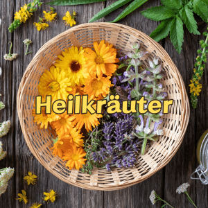 Heilkräuter